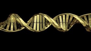 stock-footage-gold-double-helix-dna-strand