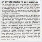 Description of the Delaunay Institute for Mental Health.