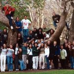 Goup of college students posed on, beneath, and around large tree trunks and branches.