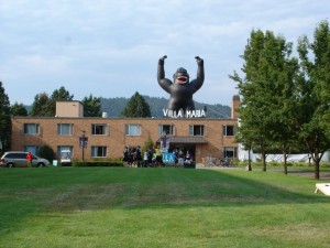Villa Maria Hall Gorilla, 2012