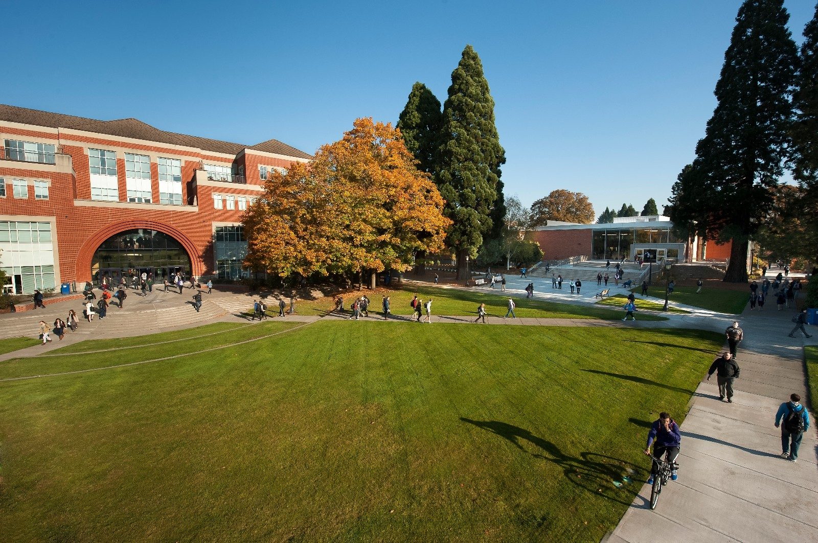 the quad at UP, students walking across campus